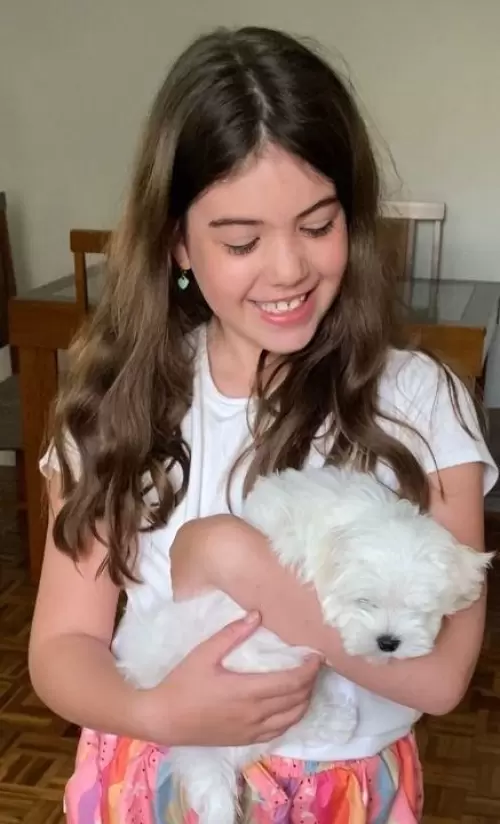 Clientes Felizes