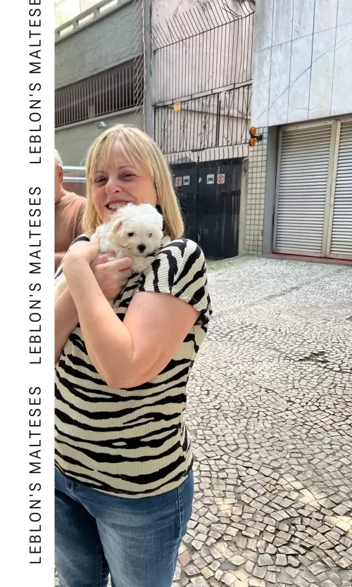 Clientes Felizes