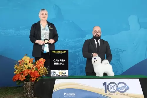 Exposições
