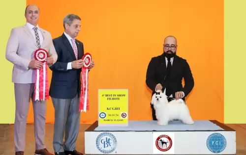 Exposições
