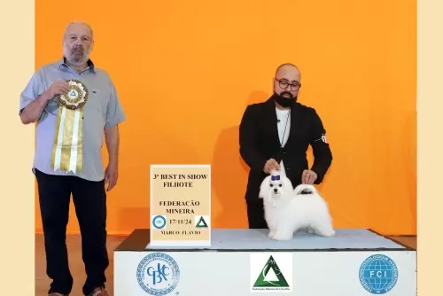 Exposições