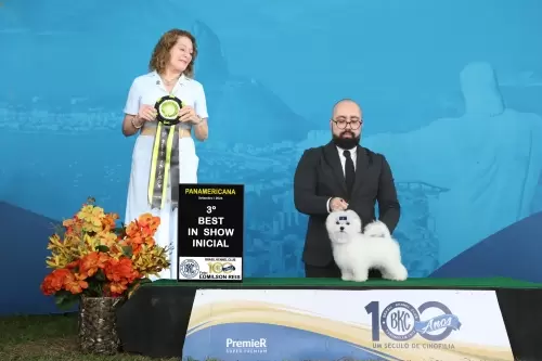 Exposições
