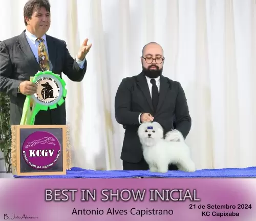 Exposições