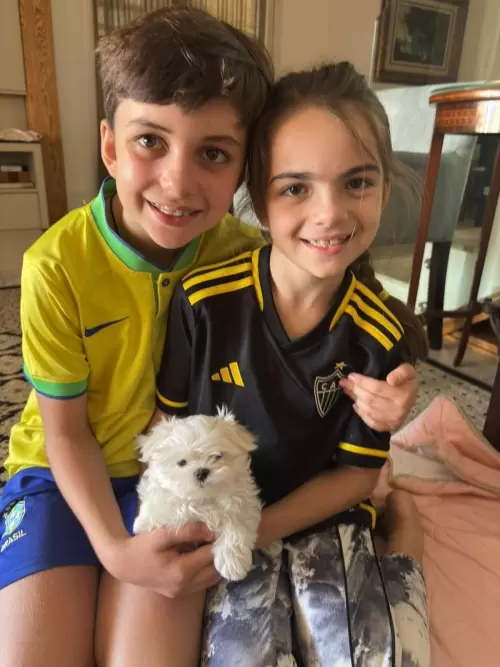 Clientes Felizes