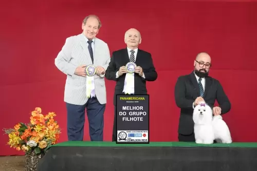 Exposições