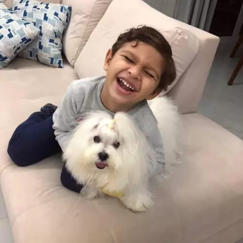 Clientes Felizes