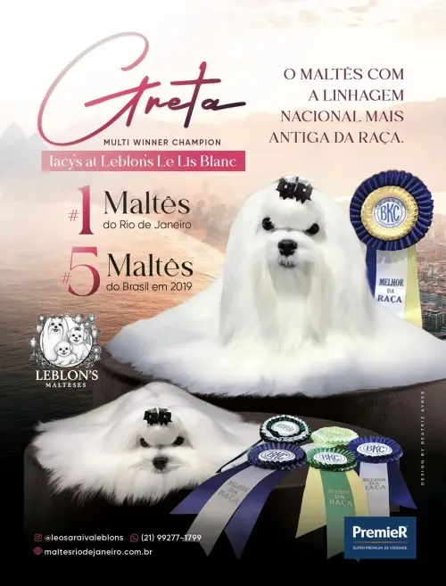 Exposições