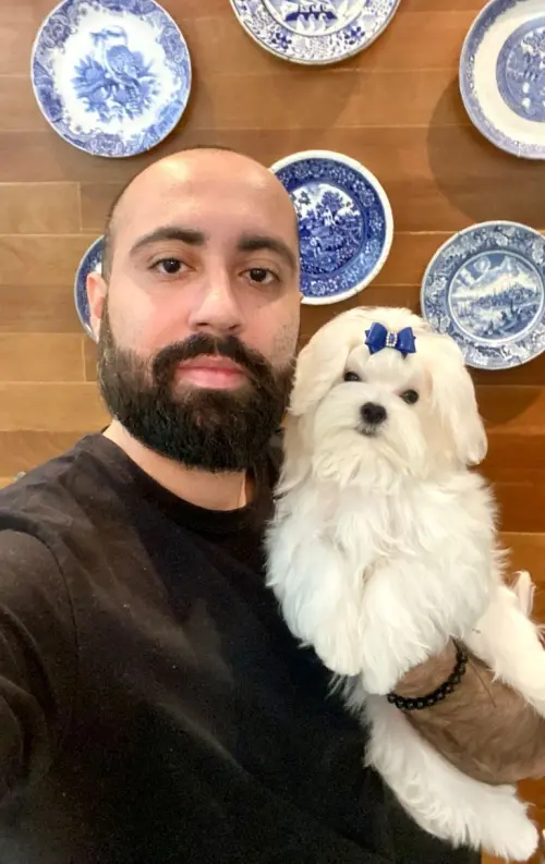 Nossos Cães
